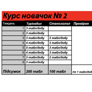 Курс "Новачок 2"